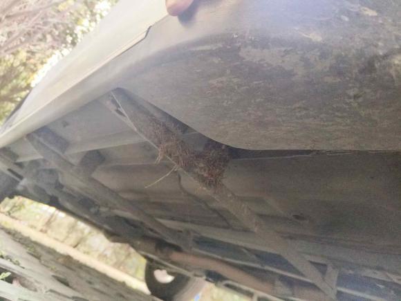 [成都·川A] 二手日产奇骏2014款 2.0L CVT舒适版 2WD