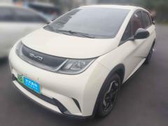 [深圳·粤B]比亚迪&nbsp;&nbsp;海豚&nbsp;&nbsp;2021款 405km 自由版