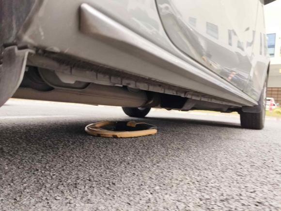 [上海·沪E] 二手别克别克GL82023款 陆上公务舱 智享型