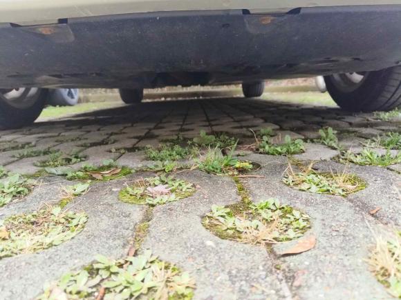 [武汉·鄂A] 二手丰田凯美瑞2018款 2.0G 豪华版