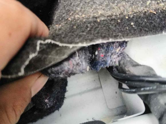 [济南·鲁A] 二手北汽新能源北汽新能源EC32019款 灵动版