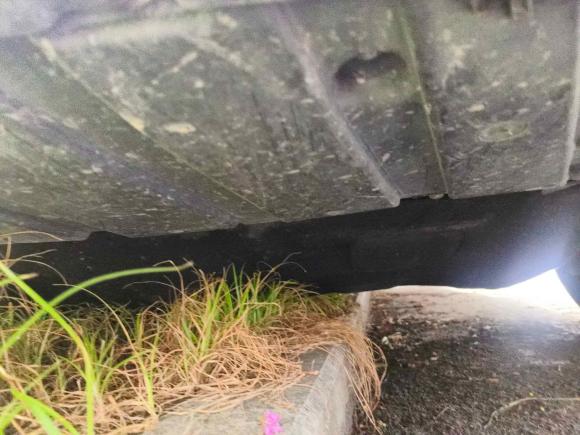 [苏州·苏E] 二手福特福克斯2018款 三厢经典 1.6L 手动风尚型智行版