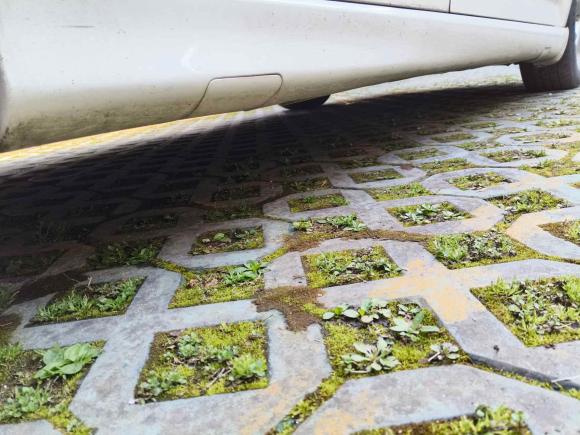 [上海·沪F] 二手福特蒙迪欧-致胜2012款 2.0L GTDi240旗舰运动版