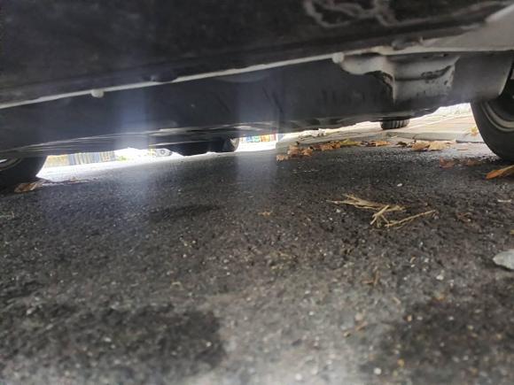 [合肥·皖A] 二手本田思域2016款 220TURBO CVT豪华版