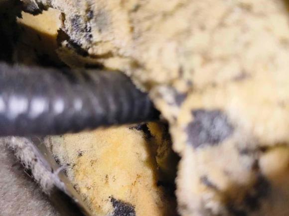 [成都·川A] 二手日产逍客2012款 2.0XL 火 CVT 2WD