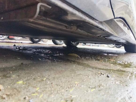 [杭州·浙A] 二手比亚迪海豹2025款 650长续航版