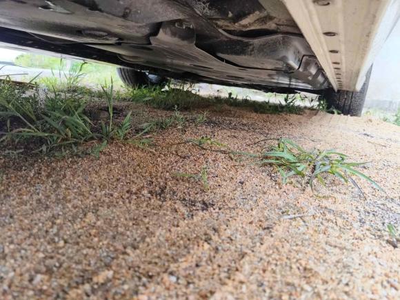 [南通·苏U] 二手日产轩逸2022款 1.6L XL CVT悦享版