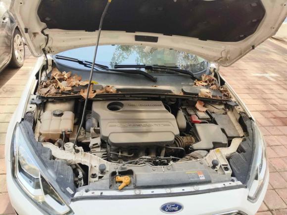 [青岛·鲁B] 二手福特福睿斯2017款 幸福版 1.5L 自动时尚型