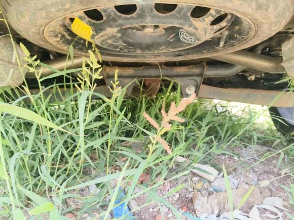 [青岛·鲁K] 二手捷途捷途X902023款 子龙 2.0T DCT常胜版 5座