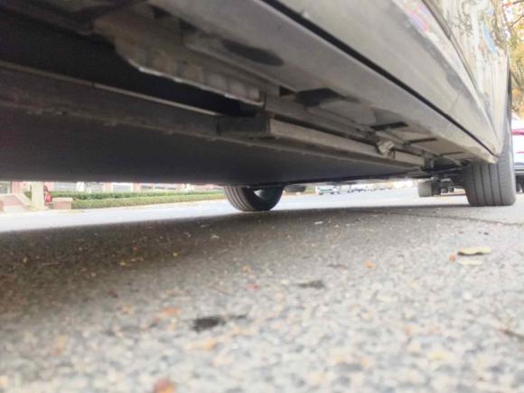 [青岛·鲁B] 二手比亚迪海豚2023款 420km 时尚版