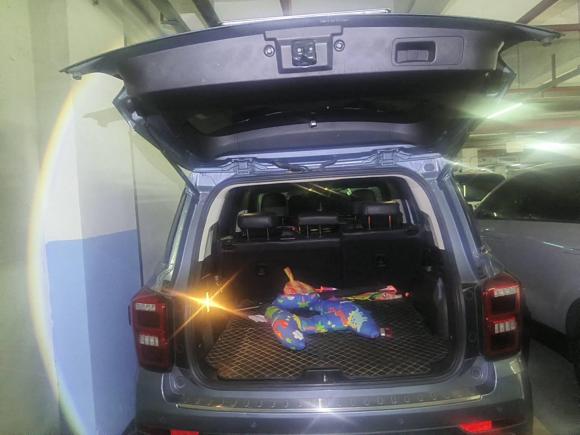 [佛山·粤E] 二手广汽传祺传祺GS82017款 320T 两驱豪华智联版（七座）