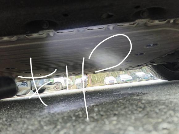 [上海·沪A] 二手埃安AION Y2023款 Younger