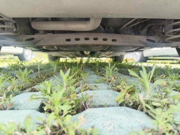 [宁波·浙B] 二手大众高尔夫2015款 1.6L 自动舒适型