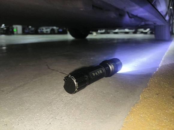 [杭州·浙A] 二手比亚迪海豚2021款 405km 自由版