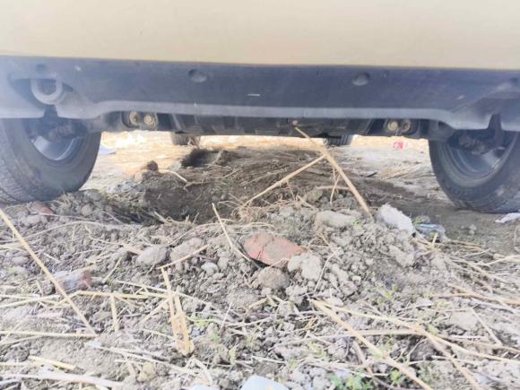 [上海·鄂C] 二手日产途达2020款 2.5L XL Upper 自动两驱豪华版