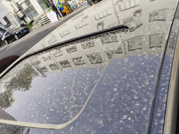 [上海·沪A] 二手凯迪拉克SLS赛威2012款 2.0T 舒适型