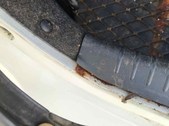 [温州·皖L] 二手本田思域2014款 1.8L 手动舒适版