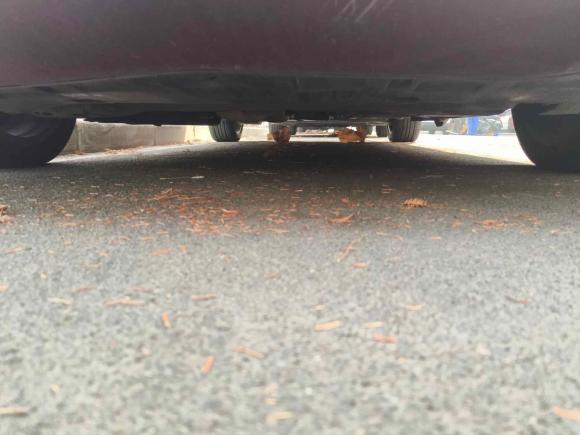 [上海·沪C] 二手奔驰奔驰B级2009款 B 200 时尚型