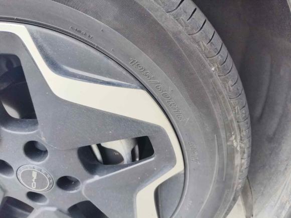 [嘉兴·浙A] 二手比亚迪海豚2021款 405km 自由版