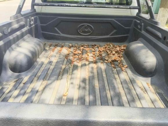 [嘉兴·渝A] 二手猎豹汽车猎豹CT72018款 1.9T柴油两驱进取型大双版D19TCIE