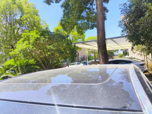 [上海·沪C] 二手宝马宝马7系2009款 730Li豪华型