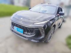 [温州·粤S] 东风风行风行T5 EVO2021款 1.5TD DCT星耀版