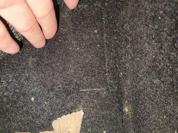 [合肥·皖A] 二手大众朗逸2019款 280TSI DSG舒适版 国VI