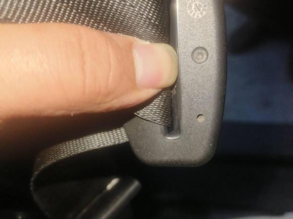 [嘉兴·浙F] 二手长城炮2021款 2.0T商用版自动柴油两驱精英型长箱GW4D20M