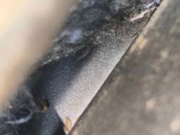 [成都·川A] 二手大众ID.4 X2021款 Pro 极智长续航版