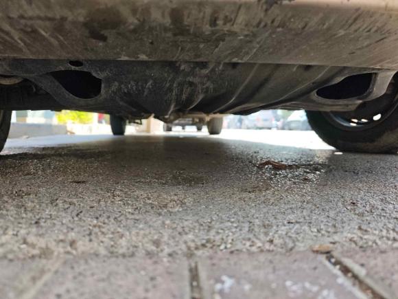 [上海·沪F] 二手金杯金杯快运2018款 2.0L标准型V19