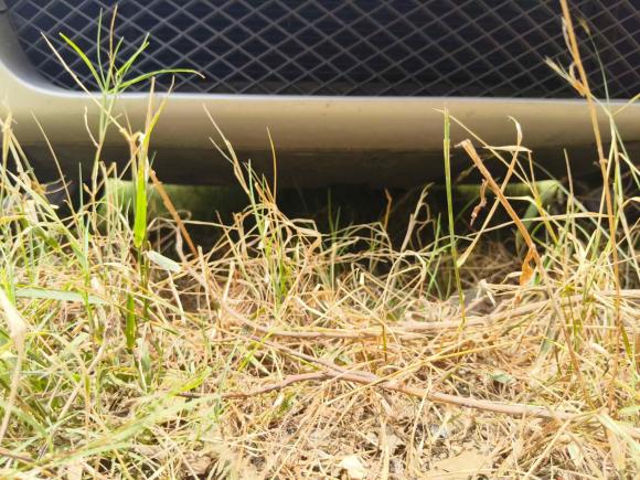 [芜湖·皖B] 二手宝马宝马X32009款 xDrive25i豪华增配型