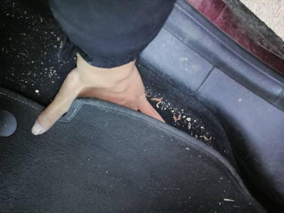 [常州·苏D] 二手雷诺风朗2015款 2.0L 时尚版