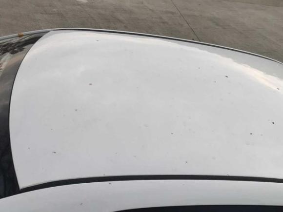 [佛山·浙E] 二手吉利汽车远景2020款 1.5L 手动亚运版