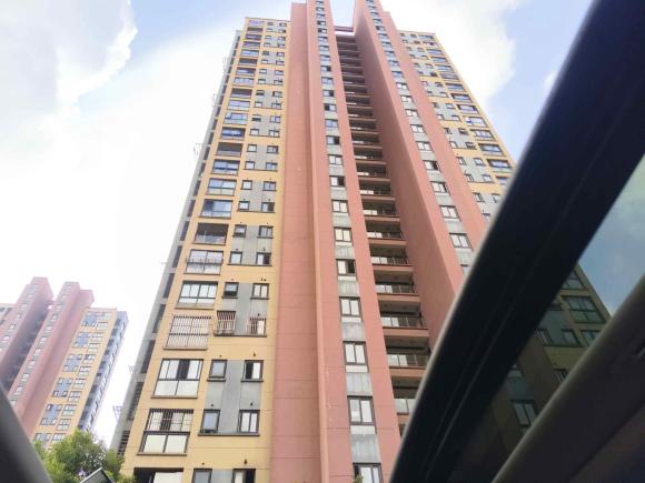 [上海·苏M] 二手大众朗逸2019款 1.5L 自动舒适版 国VI