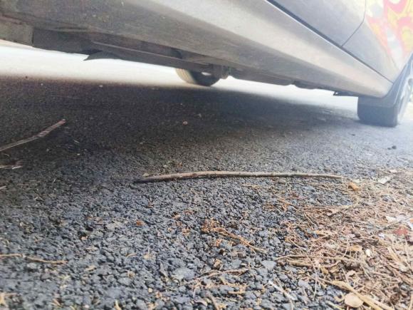 [青岛·鲁B] 二手比亚迪秦PLUS2021款 DM-i 120KM 尊贵型