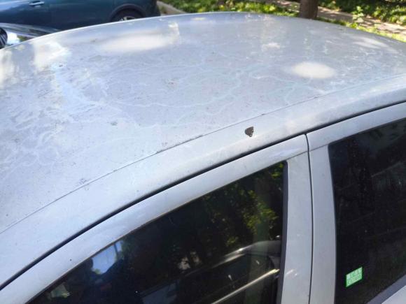 [武汉·鄂A] 二手斯柯达明锐2013款 1.6L 自动逸杰版