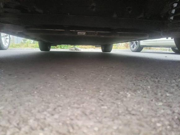 [深圳·粤B] 二手比亚迪海豚2021款 405km 自由版