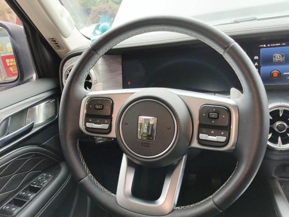 [成都·川A] 二手坦克坦克3002021款 越野版 2.0T 征服者