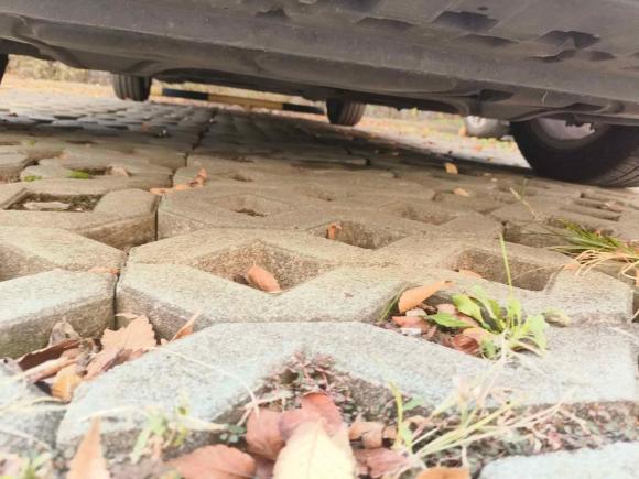 [嘉兴·浙F] 二手斯柯达明锐2019款 1.5L 手动舒适版