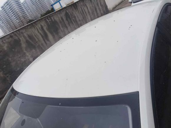 [金华·浙G] 二手捷达捷达VA32021款 1.5L 自动向上人生版