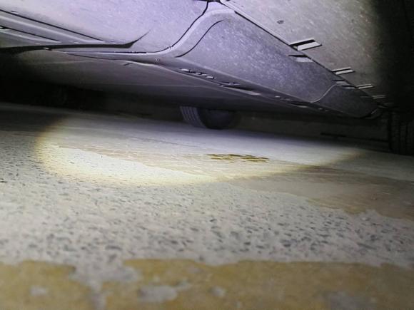 [上海·沪A] 二手吉利几何吉利几何C2020款 甄选续航版 550KM C++