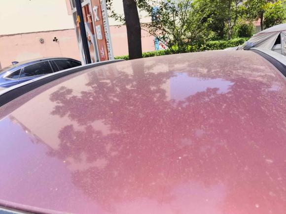 [苏州·苏E] 二手雪铁龙雪铁龙C3-XR2015款 1.6L 自动先锋型