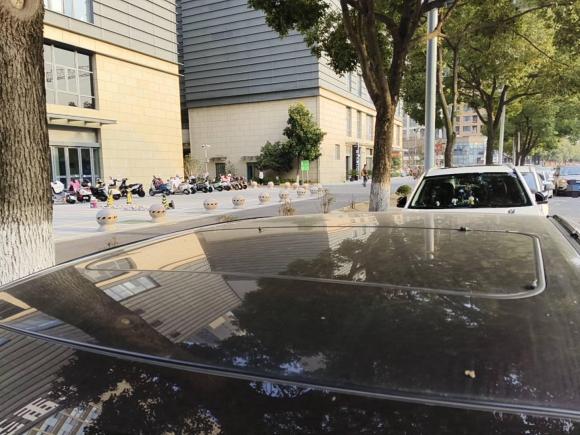 [苏州·苏E] 二手丰田凯美瑞2016款 2.0G 十周年纪念豪华版