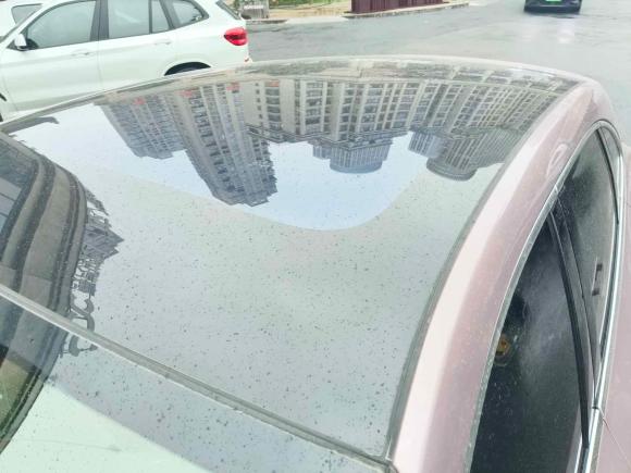 [湖州·浙E] 二手鸿蒙智行问界M52022款 纯电四驱性能版