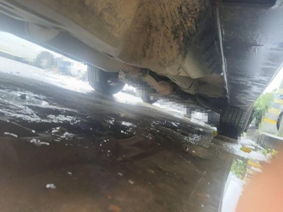 [温州·浙C] 二手哈弗哈弗H62017款 蓝标 运动版 1.5T 自动两驱豪华型