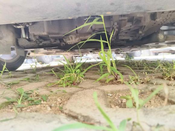 [青岛·鲁B] 二手福特福克斯2012款 两厢 2.0L 手动豪华运动型