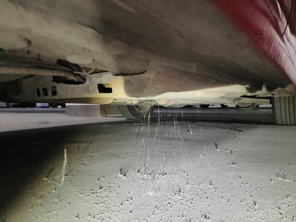 [杭州·浙A] 二手大众Polo2014款 1.6L 自动舒适版