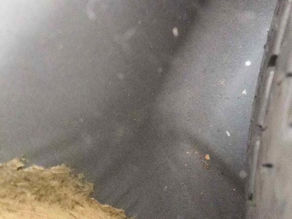 [湖州·浙E] 二手哈弗哈弗H62017款 红标 运动版 1.5T 自动两驱豪华型