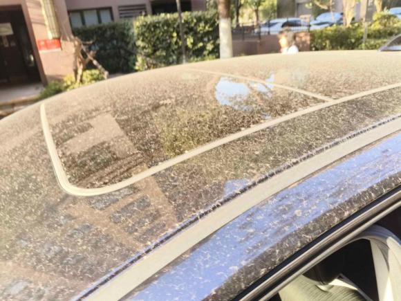 [上海·沪B] 二手本田缤智2020款 1.5L CVT先锋版