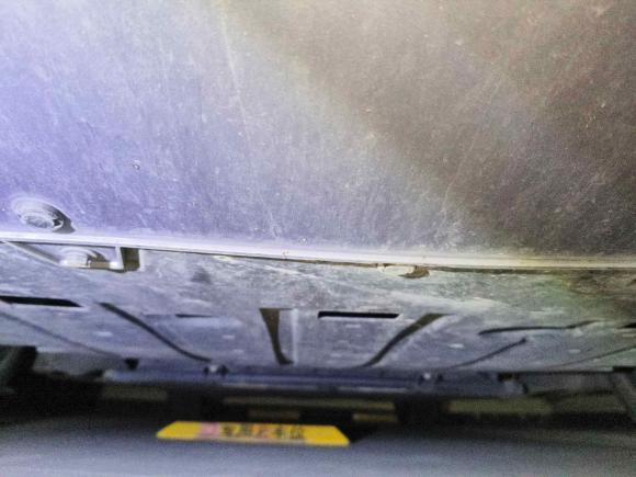 [合肥·皖A] 二手欧拉欧拉闪电猫2022款 555km 尊贵版